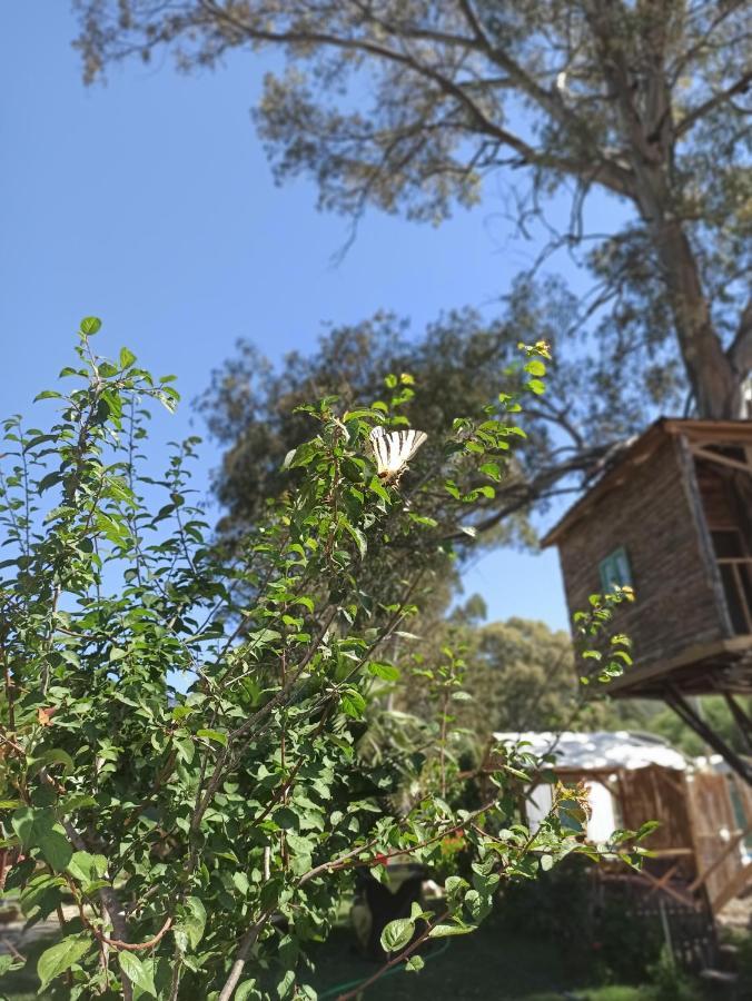 Daidala Life Bed and Breakfast Göcek Εξωτερικό φωτογραφία